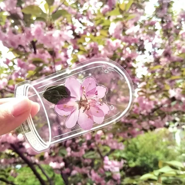 PVC Transparent Bottle - Image 5