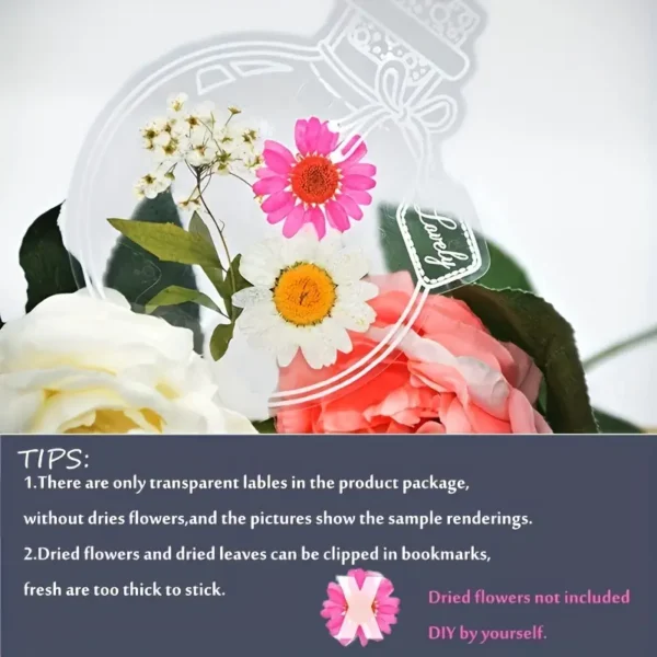 PVC Transparent Bottle - Image 6