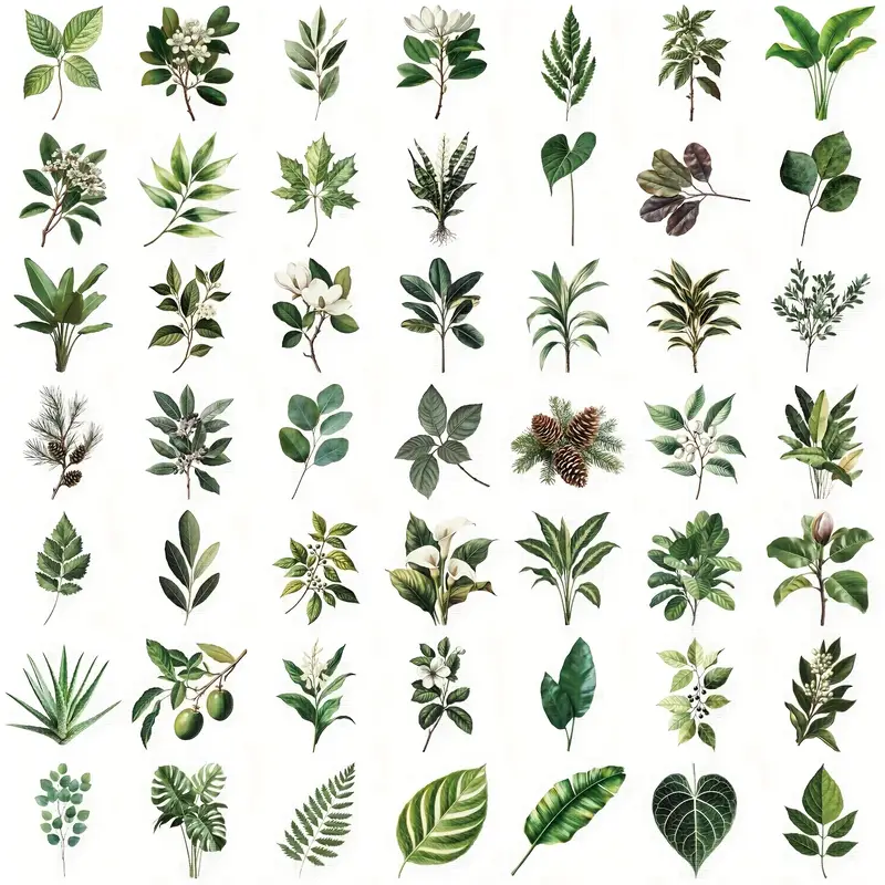 Transparent Green Stickers β 5 Pcs - Image 2