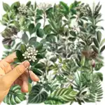 Transparent Green Stickers β 5 Pcs - Image 3