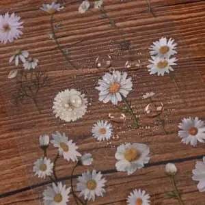 White Daisy Flower Stickers